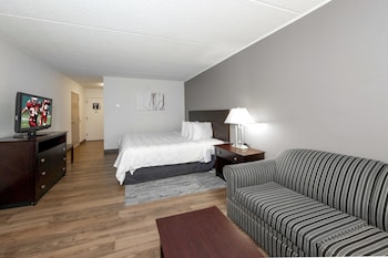 Deluxe Room, 1 King Bed with Sofa bed (Smoke Free, Roll-In Shower)