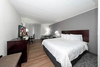 Deluxe Room, 1 King Bed with Sofa bed (Smoke Free)