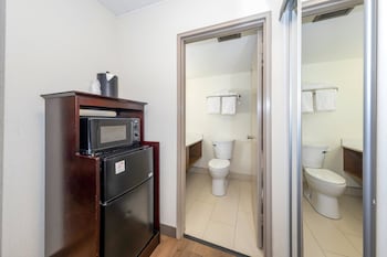 Deluxe Room, 1 King Bed with Sofa bed (Smoke Free)