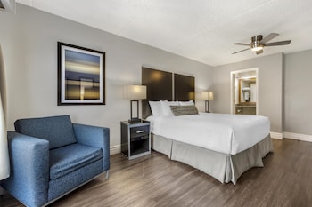 Non-Pet, 1 King bed, Accessible, Walk in shower