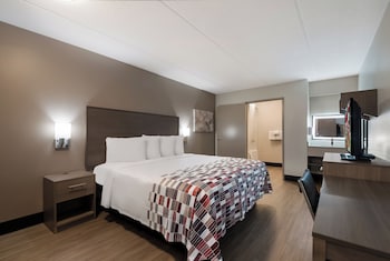 Deluxe Room, 1 Double Bed, Accessible, Non Smoking (Roll-In Shower)