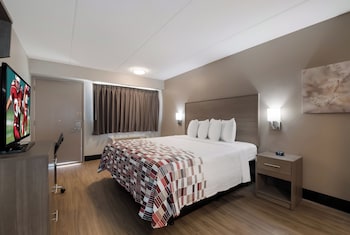 Deluxe Room, 1 Double Bed, Accessible, Non Smoking (Roll-In Shower)