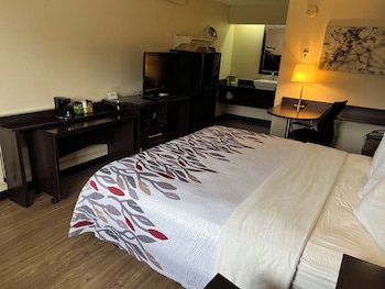 Superior Room, 1 King Bed, Non Smoking