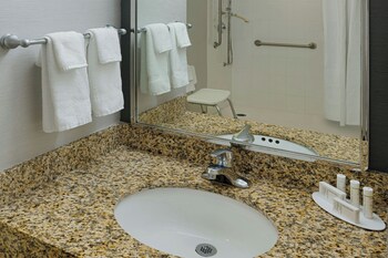 Room, 1 Queen Bed, Accessible Bathtub