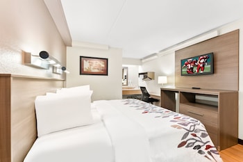 Standard Room, 1 King Bed (Smoke Free)