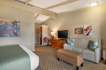 Room, 1 King Bed, Non Smoking, Jetted Tub