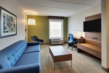 Suite, 1 King Bed with Sofa bed