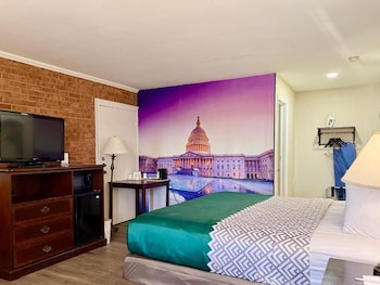 Single Room, Garden View