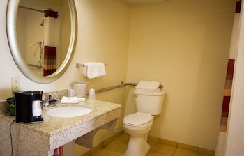 Superior Room, 1 King Bed, Accessible, Non Smoking (Roll-In Shower)
