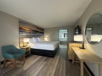 Room, 1 King Bed, Roll-in Shower, Non Smoking (Mobility, Lounge Chair)