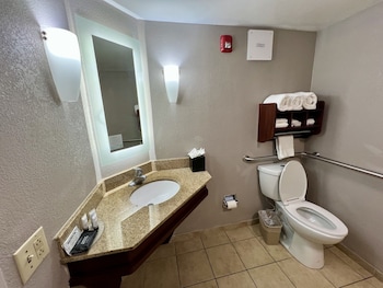 Room, 1 Double Bed, Accessible Tub, Non Smoking