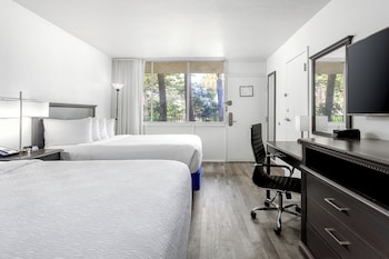 Room, 2 Queen Beds