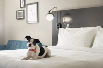 Room, 2 Queen Beds, Hearing Accessible