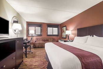 Standard Room, 1 King Bed, Accessible (Communication, Roll-In Shower)