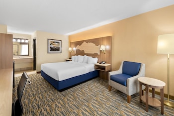 Standard Room, 1 King Bed, Accessible, Refrigerator & Microwave