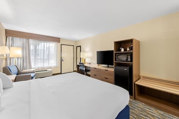 Standard Room, 1 King Bed, Accessible, Refrigerator & Microwave