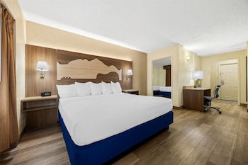 Suite, Multiple Beds, Non Smoking, Refrigerator & Microwave