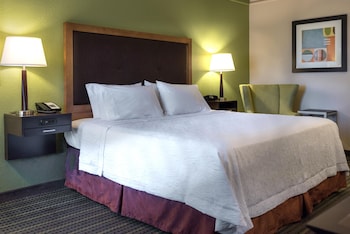 Room, 1 King Bed
