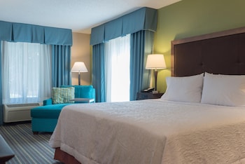 Room, 1 King Bed