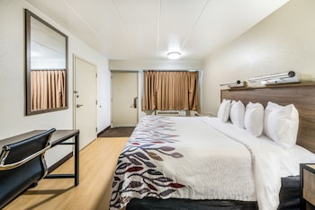 Superior Room, 1 King Bed, Accessible (Roll-In Shower, Smoke Free)
