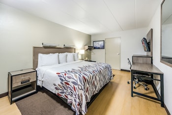 Superior Room, 1 King Bed, Accessible (Roll-In Shower, Smoke Free)