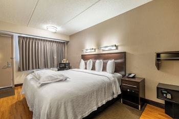 Premium Room, 1 King Bed, Accessible (Upgraded Bedding/Snack/Roll-In Shower)
