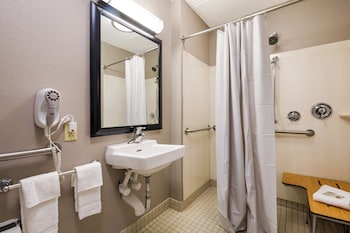Premium Room, 1 King Bed, Accessible (Upgraded Bedding/Snack/Roll-In Shower)
