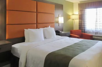 Room, 1 King Bed, Accessible, Non Smoking