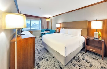 Suite, 1 Bedroom