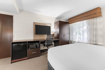 Accessible Room | 1 Queen Bed | Lowered Tub | Sleeps 2 | Free Breakfast