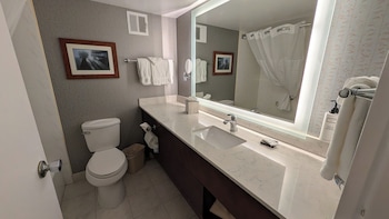 Deluxe Room, 1 King Bed with Sofa bed, Non Smoking