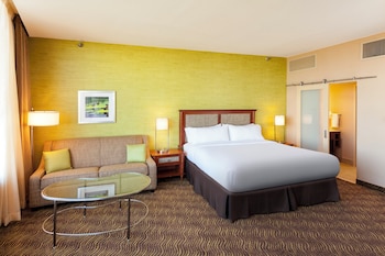 Room, 1 Double Bed, Accessible (Roll-In Shower)