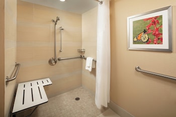 Room, 1 Double Bed, Accessible (Roll-In Shower)