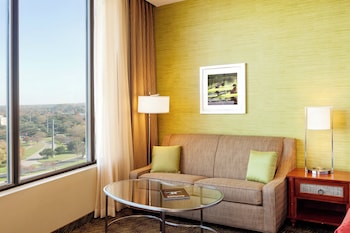 Standard Room, 1 King Bed with Sofa bed