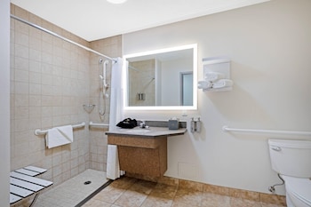 Room, 1 King Bed, Accessible, Non Smoking