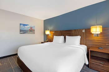 Room, 1 King Bed, Non Smoking