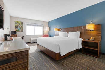 Room, 1 King Bed, Non Smoking