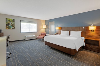 Room, 1 King Bed, Non Smoking