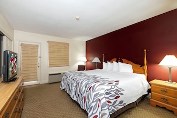 Suite, 1 King Bed with Sofa bed, Non Smoking