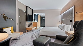 Room, 1 King Bed
