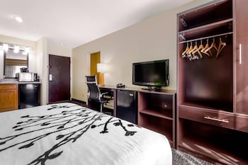 Suite, 1 Queen Bed, Non Smoking