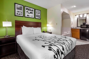 Suite, 1 Queen Bed, Non Smoking