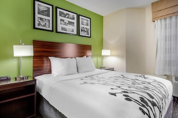 Standard Room, 1 Queen Bed, Non Smoking