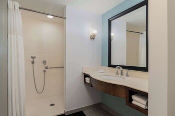 Room, Accessible, Non Smoking (Roll-in Shower)