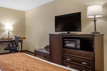 Room, 1 King Bed, Non Smoking, Jetted Tub