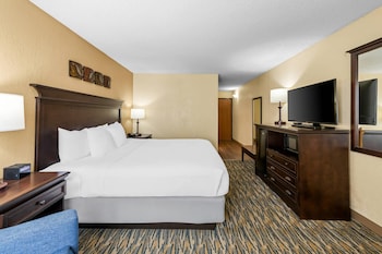 Standard Room, 1 King Bed, Accessible, Non Smoking