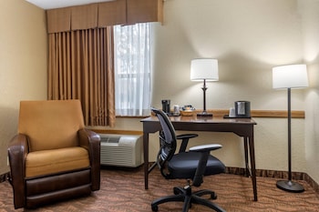 Room, 1 King Bed, Non Smoking