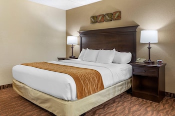 Room, 1 King Bed, Non Smoking