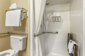 Standard Room, 1 Queen Bed, Accessible, Refrigerator & Microwave (Walk-in Shower)