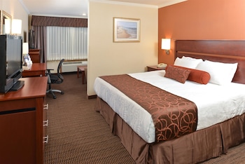Suite, 1 King Bed, Non Smoking, Refrigerator & Microwave (with Sofabed)